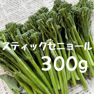 300g  スティックセニョール 茎ブロッコリー 野菜 即購入OK 