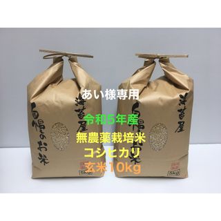 あい様専用 無農薬コシヒカリ玄米10kg(5kg×2)令和5年産(米/穀物)