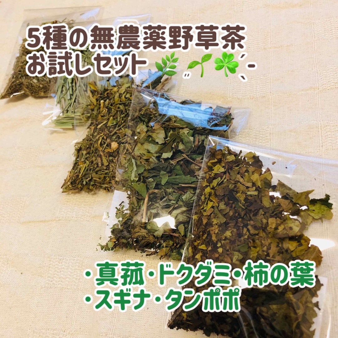 5種の無農薬野草茶  真菰・ドクダミ・柿の葉・スギナ・タンポポ 食品/飲料/酒の飲料(茶)の商品写真