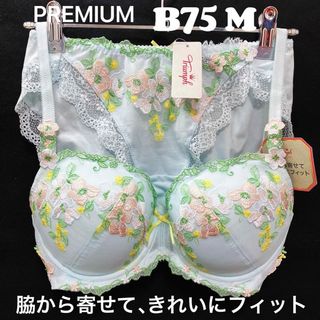 トリンプ(Triumph)のB75 トリンププレミアム レッドレーベル 0074 ブラジャー &ショーツ(ブラ&ショーツセット)