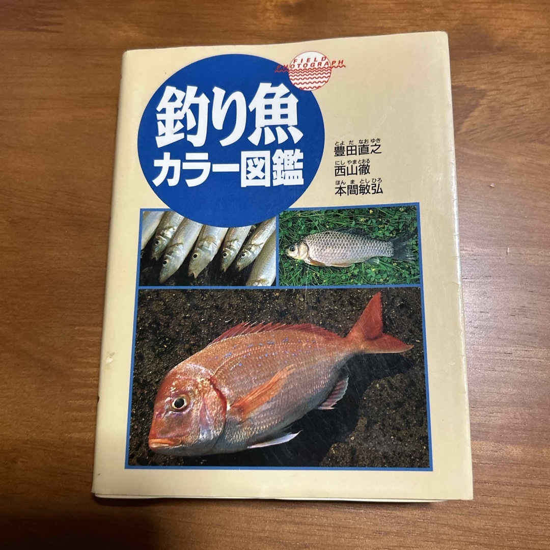 釣り魚カラ－図鑑 エンタメ/ホビーの本(地図/旅行ガイド)の商品写真