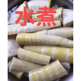 お初物、天然、破竹筍、掘り立て、アク抜き済み、水煮の筍、　500ｇ+〆