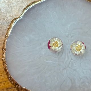 No.22 ハンドメイド　ピアス　イヤリング　レジン　押し花　(その他)