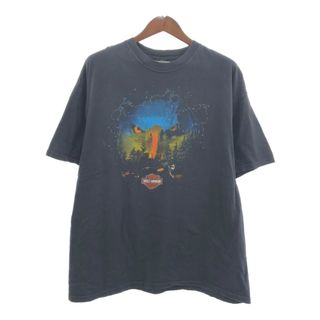 ハーレーダビッドソン(Harley Davidson)のHARLEY DAVIDSON ハーレーダビッドソン 半袖Ｔシャツ バイク ブラック (メンズ XL相当) 中古 古着 Q6016(Tシャツ/カットソー(半袖/袖なし))