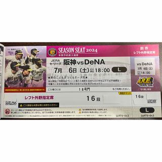 ハンシンタイガース(阪神タイガース)の7/6(土)阪神vs DeNA 甲子園球場 レフトスタンド(野球)