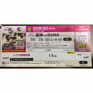 ハンシンタイガース(阪神タイガース)の7/7(日)阪神vsDeNA 甲子園球場 レフトスタンド(野球)