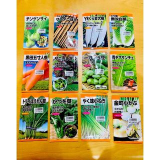 【新品】12袋まとめ売り☆ニチノウのタネ☆ごぼう大根白菜そら豆かつを菜小ねぎ(その他)