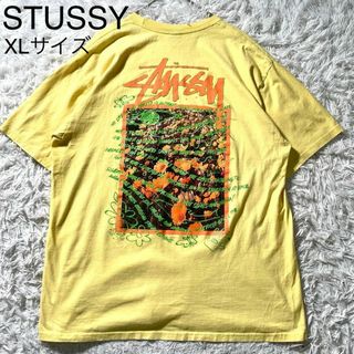 ステューシー(STUSSY)のSTUSSY ステューシー Tシャツ スーパーブルーム デカロゴ パピヨン XL(Tシャツ/カットソー(半袖/袖なし))