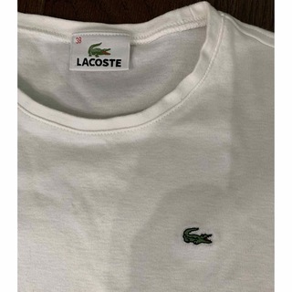 LACOSTE - ラコステ　Tシャツ