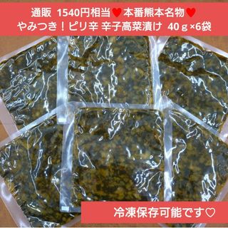 熊本県産  辛子高菜  40ｇ×6  高菜  お漬物  漬物  辛子  醤油漬け(インスタント食品)