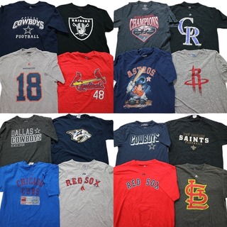古着卸 まとめ売り プロチーム 半袖Tシャツ 16枚セット (メンズ L ) NFL MBL レッドソックス ダラスカウボーイズ カージナルス MS8959(その他)