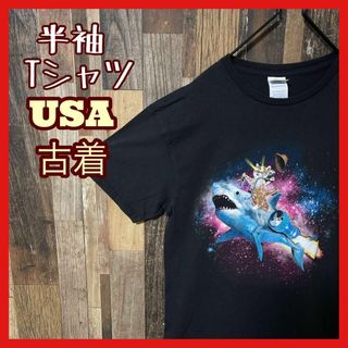 アニマル M 猫 サメ シャーク ブラック メンズ USA古着 半袖 Tシャツ(Tシャツ/カットソー(半袖/袖なし))