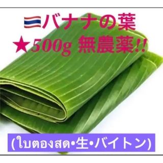 ◉タイ緑バナナの葉(生)500g•8~10枚入り•バイトンOrganic無農薬(野菜)