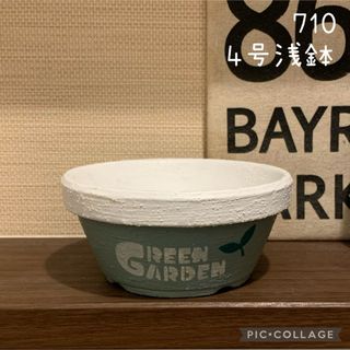 リメ鉢<710  4号浅鉢　ピスタチオグリーン　多肉植物　観葉植物　サボテン(プランター)