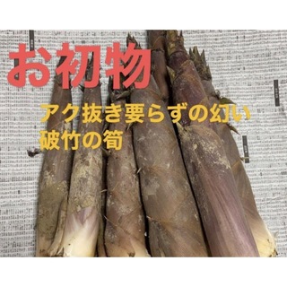 旬の味覚狩り  一番柔らかく、美味しい ■幻の破竹の筍  ２キロ(野菜)