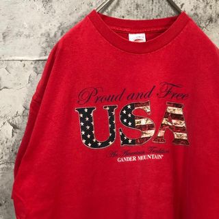 USA 星条旗 スレ 筆記体 アメリカ輸入 Tシャツ(Tシャツ/カットソー(半袖/袖なし))