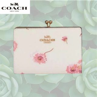 コーチ(COACH)のCOACH コーチ フローラルプリント キスロック ミニ財布 チョークマルチ(財布)