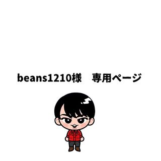 beans1210様　専用ページ(その他)