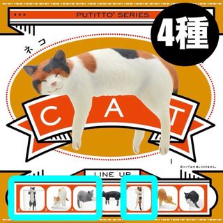 KITAN CLUB - 【4種】PUTITTOCAT ネコ　ガチャ　猫フィギュア新品・未使用キタンクラブ