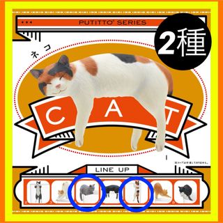 キタンクラブ(KITAN CLUB)の【新品・未使用】PUTITTO CAT ネコ　第1弾  2種　ガチャ猫フィギュア(その他)