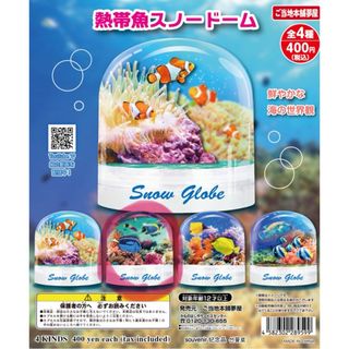 熱帯魚　スノードーム　カプセルトイ　ガチャガチャ　ナンヨウハギ　ドリー(その他)