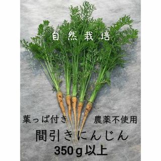 【自然栽培】葉っぱ付き にんじん☆350g以上☆ 農薬不使用(野菜)