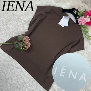 イエナ(IENA)のイエナ レディース ニット サマーニット ブラウン 茶 新品未使用 タグ付き F(ニット/セーター)