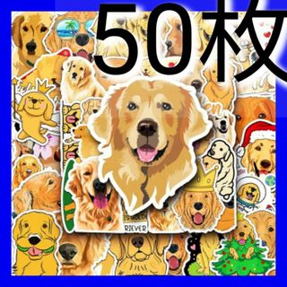 匿名配送❗ゴールデンレトリバー犬ワンちゃん家族ペットfamily防水ステッカー