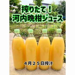 河内晩柑ジュース　搾りたて　愛媛県産　ビタミン補給