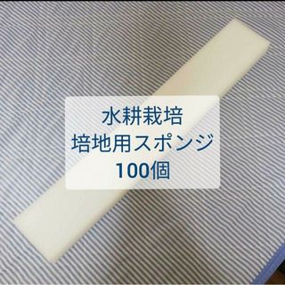 【送料無料】水耕栽培キット用 スポンジ培地 100個 ウレタン ユーイング(その他)