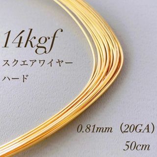 お値下げ　14kgf 0.81mm  スクエアワイヤー ハード　50cm(各種パーツ)