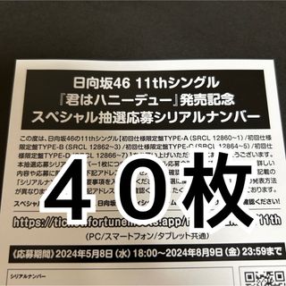 40枚 日向坂46 君はハニーデュー 全国イベント スペシャル 参加券 応募券(ポップス/ロック(邦楽))