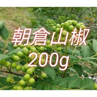 山椒の実 200g　大分県産 朝倉山椒 農薬不使用 青山椒 実山椒(野菜)