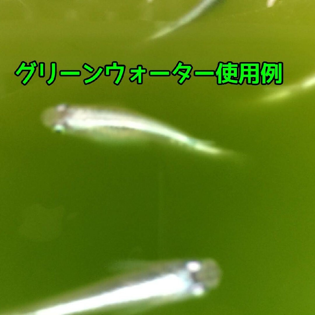 メダカ稚魚用セット（ラクマパック発送！） その他のペット用品(アクアリウム)の商品写真