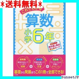 ☆完全未使用☆ これでわかる算数小学6年 小学これでわかる 465(その他)