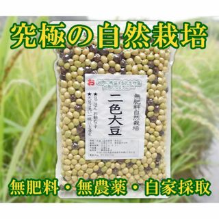 無肥料 無農薬 二色大豆(500g)★熊本県産★究極の自然栽培農法の大豆たち♪(米/穀物)