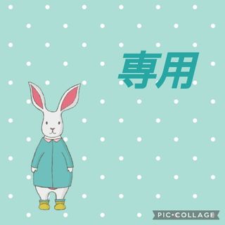 専用　Мサイズ　計8点(その他)