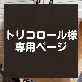 【トリコロール様】★専用★(エコバッグ)