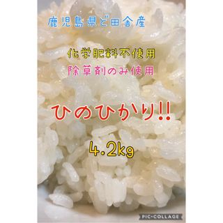 鹿児島県ど田舎産 減農薬米♪4.2kg(米/穀物)