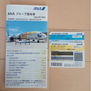 エーエヌエー(ゼンニッポンクウユ)(ANA(全日本空輸))のANA 株主優待 2枚 (①～24年11月30日まで②～24年5月31日まで(その他)