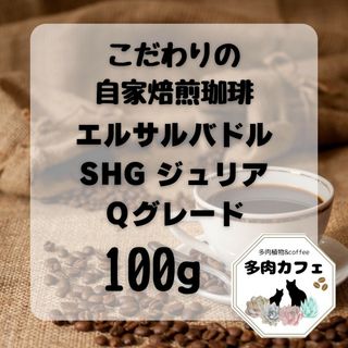 自家焙煎珈琲　エルサルバドル　300g(コーヒー)