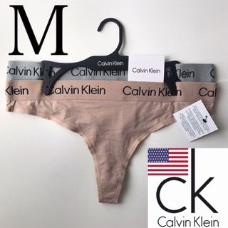 カルバンクライン(Calvin Klein)のレア USA カルバンクライン T ショーツ 下着 2枚 ベージュ グレー M(ショーツ)