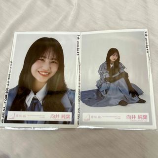 サクラザカフォーティシックス(櫻坂46)の向井純葉生写真(アイドルグッズ)