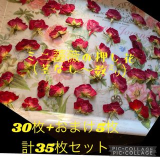 増量中♡ミニ薔薇の押し花 （茎なし〜数㍉）30枚セット＋おまけ5枚付き‥計35枚