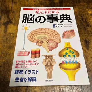 ぜんぶわかる脳の事典(健康/医学)