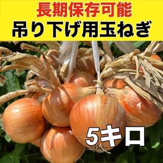 今年も販売‼️吊るして保存‼️玉ねぎ５キロ入‼️(野菜)