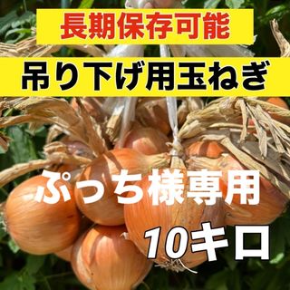 今年も販売‼️吊るして保存‼️新鮮玉ねぎ10キロ入‼️(野菜)