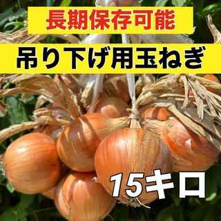 販売開始‼️吊るして保存❗️玉ねぎ15キロ入‼️(野菜)