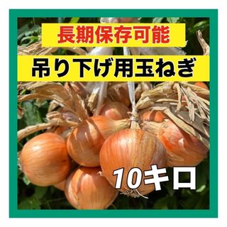 今年も販売‼️吊るして保存‼️玉ねぎ10キロ入‼️(野菜)