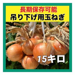 吊るして保存‼️今年も販売‼️新鮮玉ねぎ15キロ入(野菜)